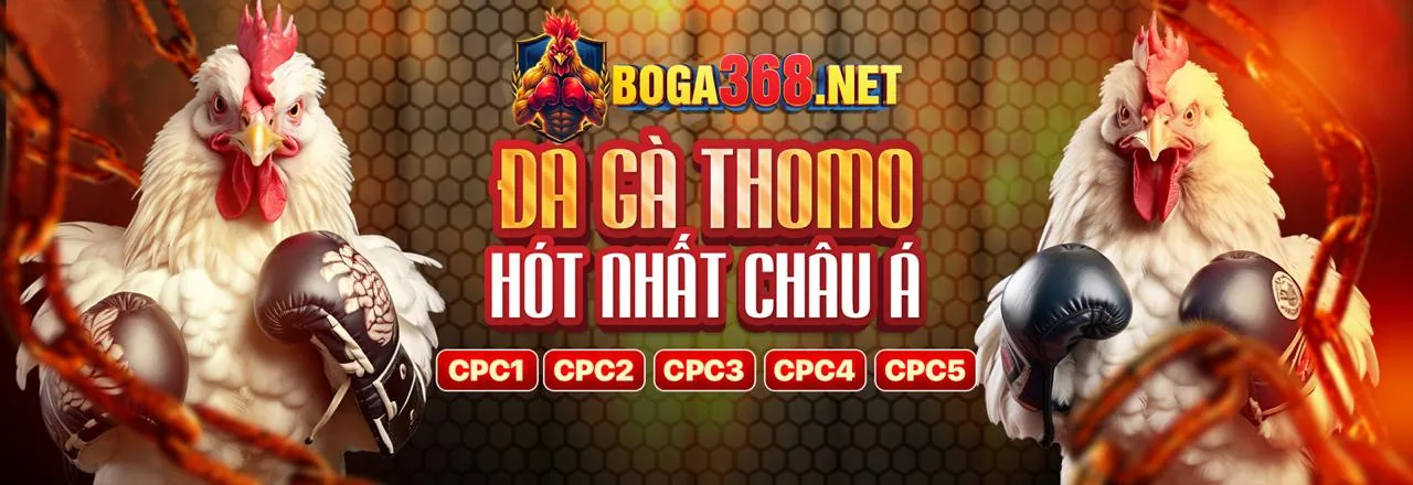 Hoàn trả không giới hạn ae789 win
