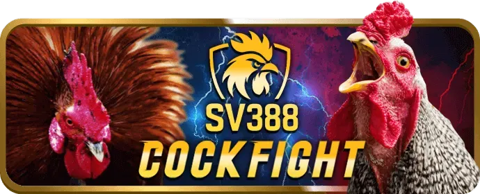 Trải nghiệm sòng bạc trực tuyến với người chia bài thật tại ae789 win